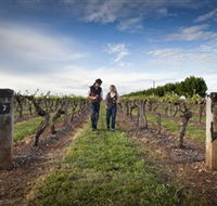 Coonawarra Wineries Walking Trail - Your Accommodation