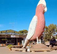 The Big Galah - Your Accommodation