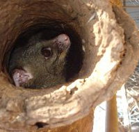 Mulga Sanctuary and Wildlife Park - Your Accommodation