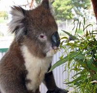 Glen-Forest Tourist Park - Your Accommodation