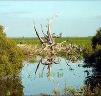 Bool Lagoon Game Reserve and Hacks Lagoon Conservation Park - Your Accommodation
