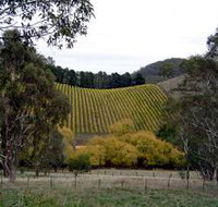 Mt Bera Vineyards - Your Accommodation