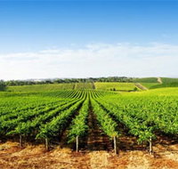 Aldinga Bay Winery