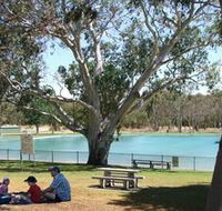 Naracoorte Nature Park and Swimming Lake - Your Accommodation