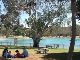 Naracoorte Nature Park And Swimming Lake - Your Accommodation 0