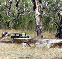 Penola Conservation Park - Your Accommodation