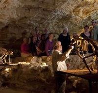 Naracoorte Caves National Park - Your Accommodation