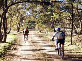 Bike About Mountain Bike Tours And Hire - Your Accommodation 0