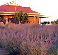 Bella Lavender Estate - Your Accommodation