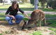 Pendleton Farmstay - thumb 0