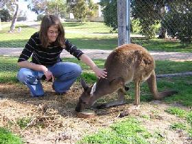 Pendleton Farmstay - Your Accommodation 0