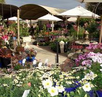 Serenity Nursery - Your Accommodation