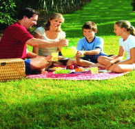 Bruny Island Berry Farm - Your Accommodation