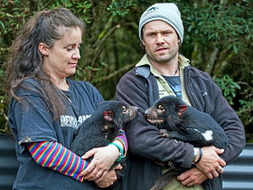 Cradle Mountain TAS Your Accommodation