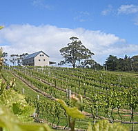 Bruny Island Premium Wines Bar and Grill - Your Accommodation