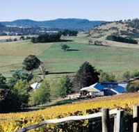 Freycinet Vineyards Pty Ltd - Your Accommodation