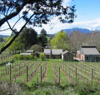 Wilmot Hills Vineyard - Your Accommodation