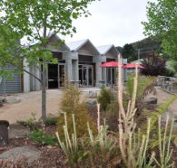 Tin Dragon Interpretation Centre and Cafe - Your Accommodation