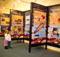 Platypus Experience - Your Accommodation