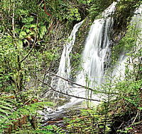 Hogarth Falls - Your Accommodation