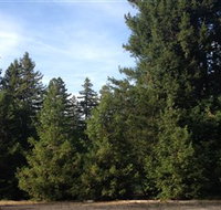 Pialligo Redwood Forest - Your Accommodation