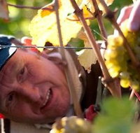 Puddleduck Vineyard - Your Accommodation