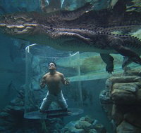 Crocosaurus Cove - Your Accommodation