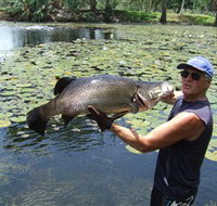 Barra Feeding - Your Accommodation