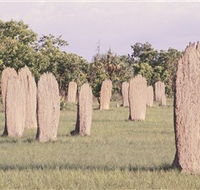 Magnetic Termite Mounds - Your Accommodation