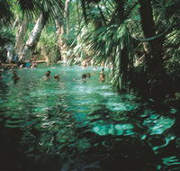 Mataranka Thermal Pool - Your Accommodation