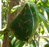 Greenant Creek Walk - Your Accommodation