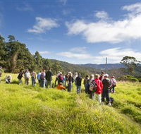 Apple Tree Park - Your Accommodation