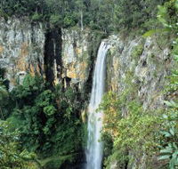 Gondwana Rainforests of Australia - Your Accommodation