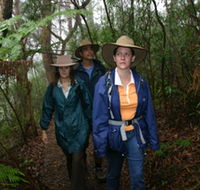 Mount Cougal Springbrook National Park - Your Accommodation