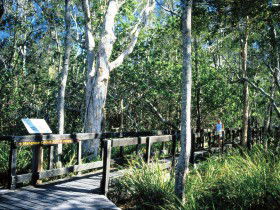Noosa Heads QLD Your Accommodation