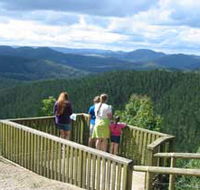 Kenilworth Forest Reserve - Your Accommodation