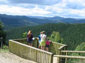 Kenilworth Forest Reserve - Your Accommodation 0