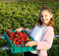 Strawberry Fields - Your Accommodation