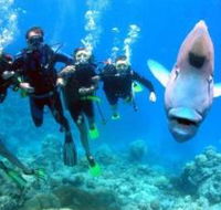 Jew Shoal Dive Site - Your Accommodation