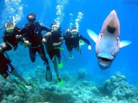 Jew Shoal Dive Site - Your Accommodation 0