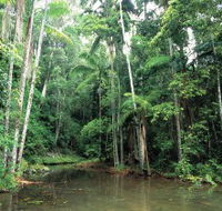 Mount Allan Trail - Your Accommodation