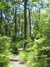 Mapleton Falls National Park - Your Accommodation 0