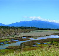 Eubenangee Swamp National Park - Your Accommodation