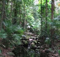 Mossman Gorge Rainforest Circuit Track Daintree National Park - Your Accommodation