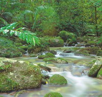 Mossman Gorge Daintree National Park - Your Accommodation