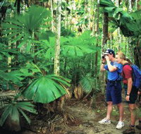 Mount Sorrow Ridge Trail Daintree National Park - Your Accommodation