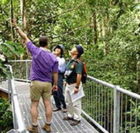 Daintree Discovery Centre - Your Accommodation