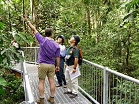 Daintree Discovery Centre - Your Accommodation 0