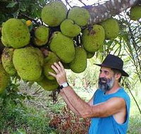 Cape Trib Exotic Fruit Farm - Your Accommodation