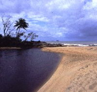 Russell River National Park - Your Accommodation